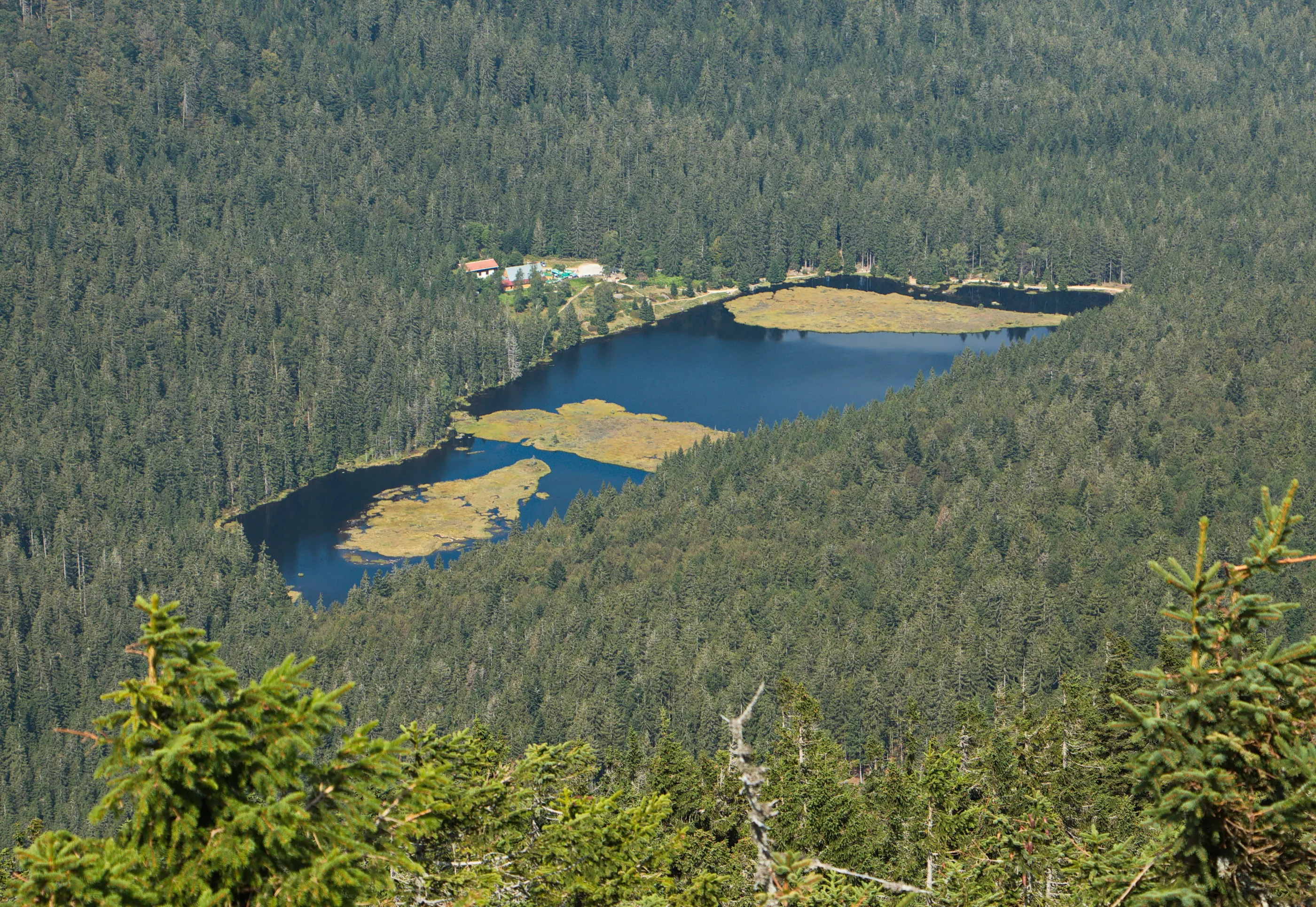 Arbersee